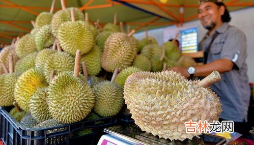 榴莲有几个品种,榴莲有几个品种 榴莲常见的4个品种