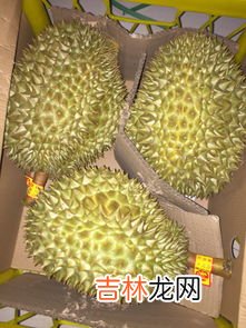 榴莲有几个品种,榴莲有几个品种 榴莲常见的4个品种