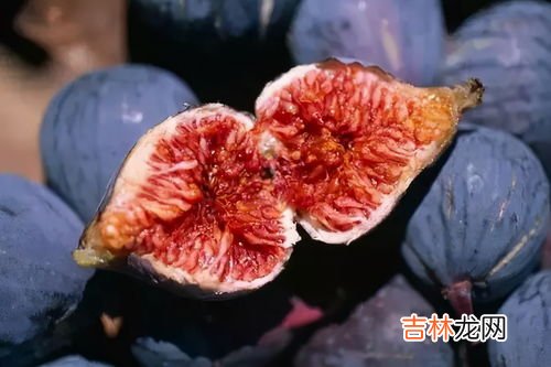 无花果用不同剥皮吃,无花果怎么吃剥皮吗