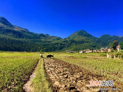 长江流域文化有什么,长江文化是什么?