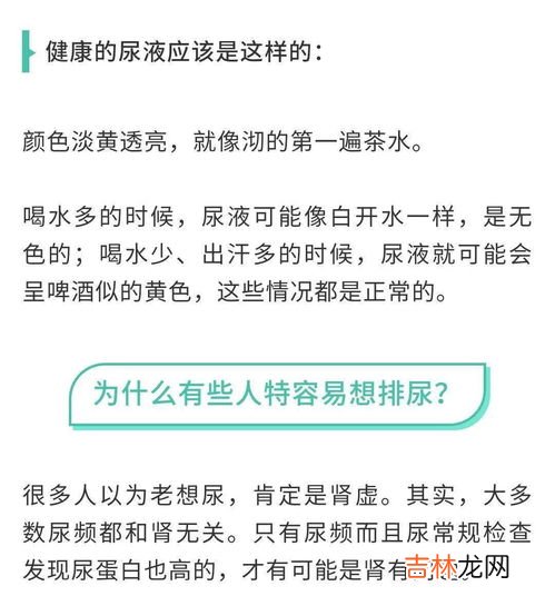 人尿含什么成份,人尿能提炼出来的什么?