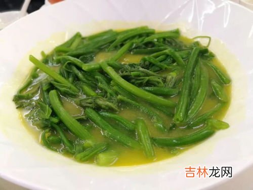 梅菜是什么菜,梅菜是什么菜？