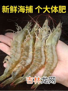 冰鲜虾和活虾的区别是什么,青岛冻虾和菜场活虾区别在哪？