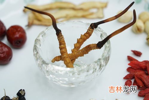 冬虫夏草泡水喝一次泡几根,冬虫夏草泡水喝一次泡几根？