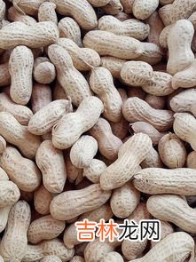商用花生米品牌排行榜,花生油十大品牌排行榜