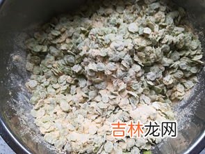 榆钱窝窝头是发面还是死面,榆钱窝窝头的做法 发面