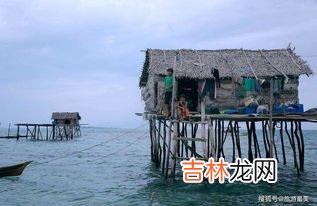 巴瑶族为什么不能上岸,巴瑶族为什么不能上岸