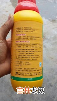 甲茸壮骨通痹胶囊的功效有哪些,马敬泉：甲茸壮骨通痹胶囊主治功能