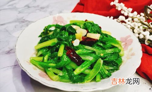 菜苔是一种什么菜,菜苔是什么？