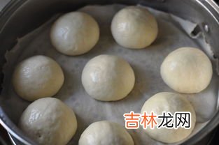 高筋面粉蒸的馒头为什么不发,馒头蒸出来为什么不发个？像死面！
