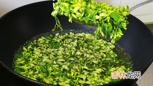 新鲜槐花怎么长期保存,如何储存槐花