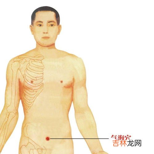 人鱼线在哪个部位,人鱼线在哪里