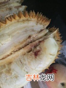 榴莲必须裂开才能吃吗,榴莲要裂开才熟吗 榴莲要开口了才能吃吗