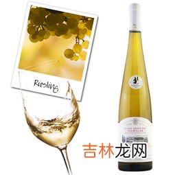 酒杯的别称和雅称有哪些,酒杯别称