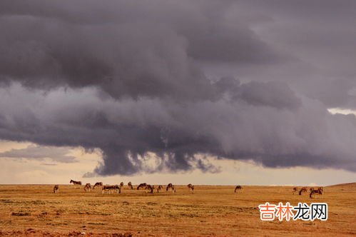 可可西里气候特征是什么,可可西里——生命的禁区、动物的乐园