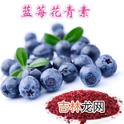 蓝莓上火还是降火,吃蓝莓上火吗?