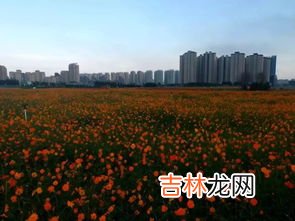 一千亩地相当于多大,1000亩地是什么概念?