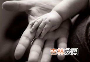 灵长类动物指什么,灵长类动物是指哪些动物