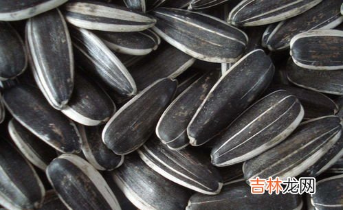 葵花籽吃多了有什么坏处,每天吃葵花籽有什么害处吗？