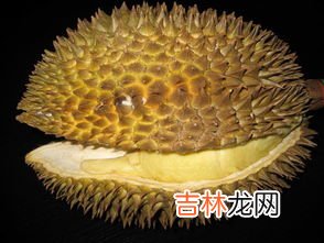 长柄榴莲和金枕榴莲区别,长柄泰国榴莲现广州市场价格是多少?核大,肉金黄色,与金枕头哪种好吃?价格区别?