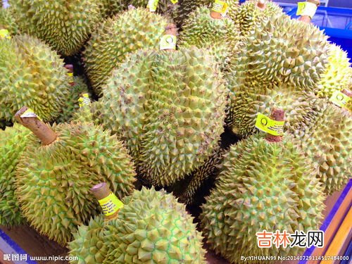 长柄榴莲和金枕榴莲区别,长柄泰国榴莲现广州市场价格是多少?核大,肉金黄色,与金枕头哪种好吃?价格区别?