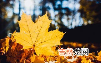 描写秋天的诗歌,关于秋天的诗歌