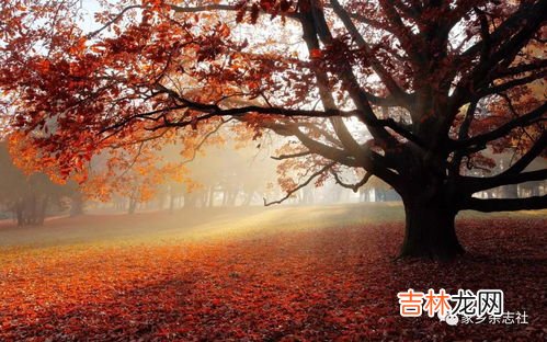 描写秋天的诗歌,关于秋天的诗歌