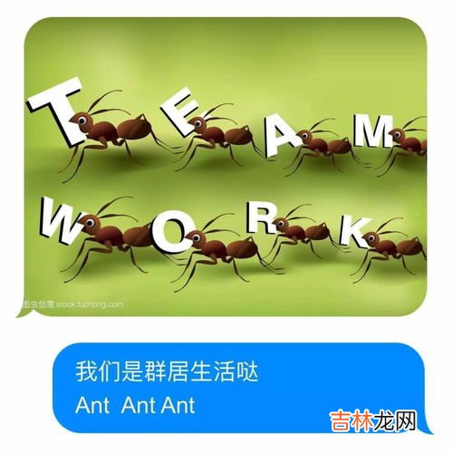 蚂蚁会叫吗,蚂蚁的叫声是怎么样的？