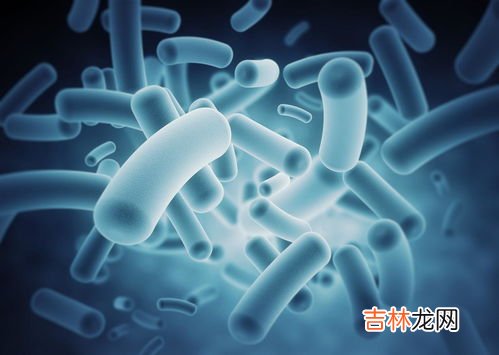 医科院生物属于哪儿的,首都医科大学生物医学工程学院的介绍