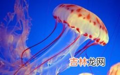 医科院生物属于哪儿的,首都医科大学生物医学工程学院的介绍