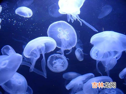 医科院生物属于哪儿的,首都医科大学生物医学工程学院的介绍