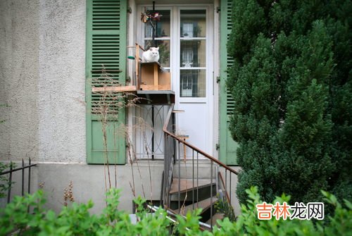 瑞士特产有哪些,请问一下瑞士特产有什么