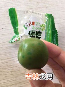 梅子怎么腌制好吃,怎么自己在家腌制脆梅