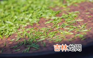 茶叶渣属于什么垃圾,喝茶剩下的茶叶渣是什么垃圾