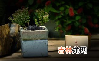 茶叶渣属于什么垃圾,喝茶剩下的茶叶渣是什么垃圾