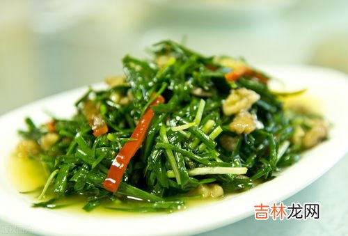 为什么吃韭菜胃不舒服,晚上吃了韭菜类的食物,然后就会胃胀气,不舒服