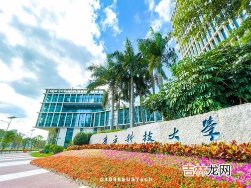 南方科技大学简介,南方科技大学的简介