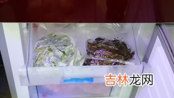 香椿的腌制方法和保存,香椿保存一年的方法