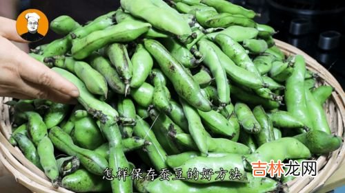 新鲜蚕豆可以直接冷冻吗,蚕豆可以放在冰箱里冷冻吗