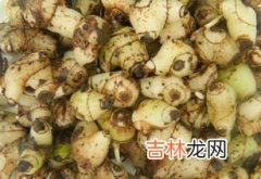 白芨的作用与功效,白芨有什么作用和功效？