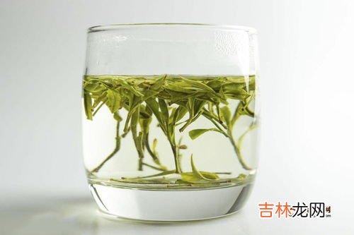 你怎么判断绿茶的,怎么辨别绿茶的好坏？