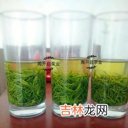 你怎么判断绿茶的,怎么辨别绿茶的好坏？