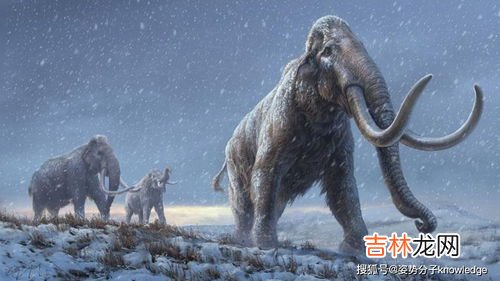 人与动物的dna有多大差别,人与动物在DNA上有什么联系
