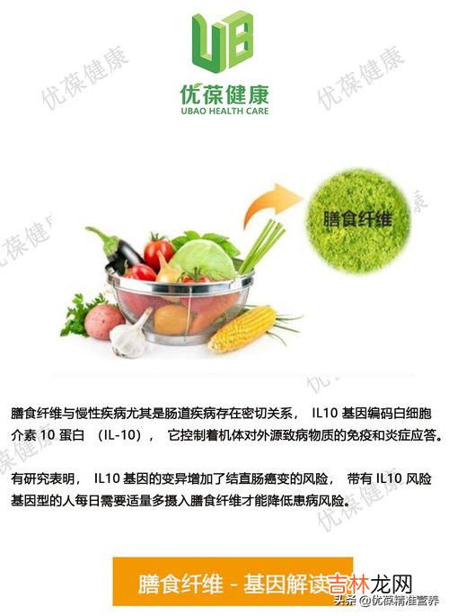 含膳食纤维最多的10种食物,十大膳食纤维食物排行榜