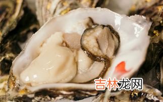 生蚝里面黑色的能吃吗,海蛎干里面黑的能吃吗 吃海蛎干会上火吗