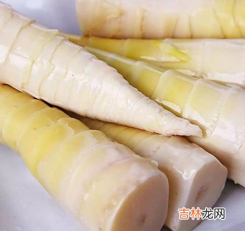苦竹笋能吃吗,竹笋是苦的还能吃吗 竹笋怎么做不苦