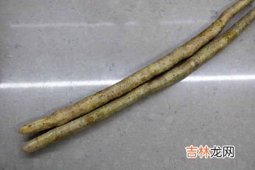 铁棍山药发芽还能吃吗,铁棍山药发芽了还能吃吗