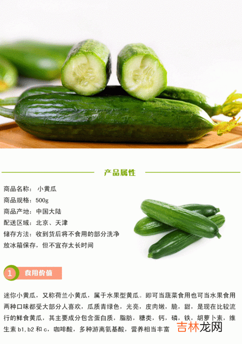 水果黄瓜和普通黄瓜的区别有哪些,水果黄瓜和普通黄瓜的区别