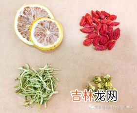 杭白菊和胎菊的区别,杭白菊和贡菊的区别
