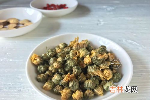 杭白菊和胎菊的区别,杭白菊和贡菊的区别